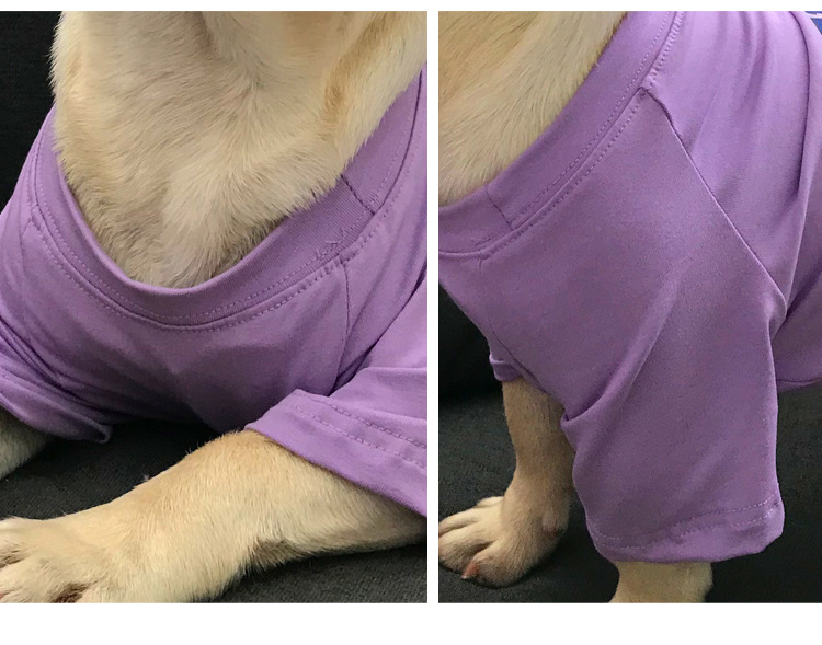ディテール
