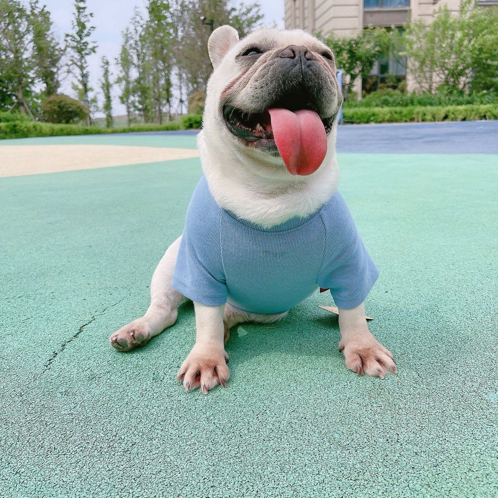 ペットペアルック サークルロゴ ゆったりスウェット