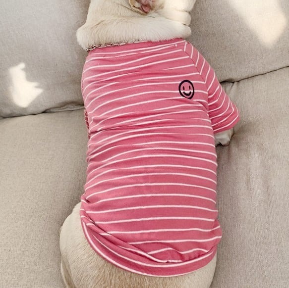 ペットペアルック ボーダー柄 スマイルTシャツ
