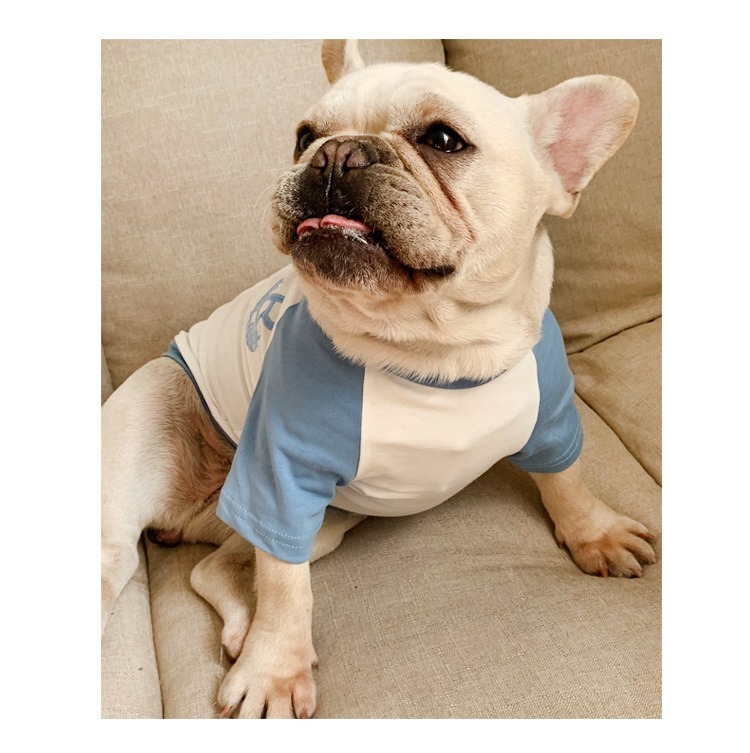 ペットペアルック カレッジ風 Bロゴ Tシャツ