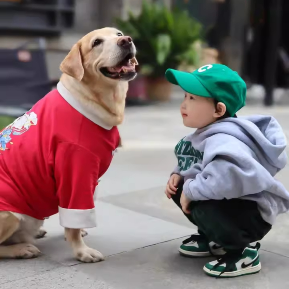 親子ペアルック グリーンロゴ パーカー トレーナー